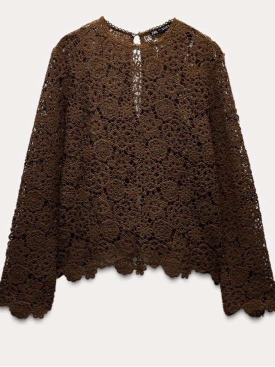 Zara Tops - Zara Brown Crochet Lace Long-Sleeve Top